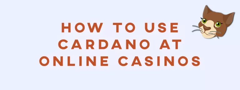 How to Use Cardano