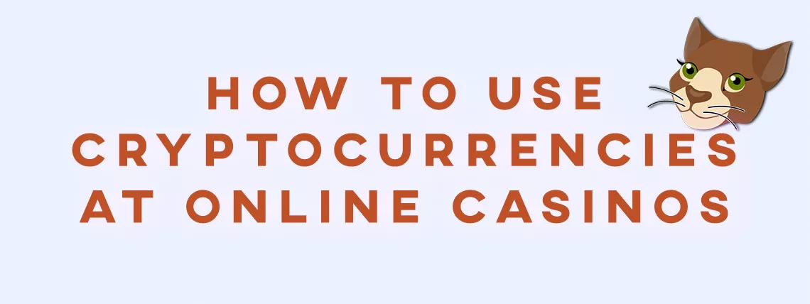 How to Use Cryptocurrencies