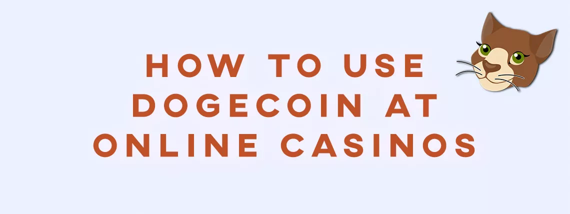 How to Use Dogecoin DOGE