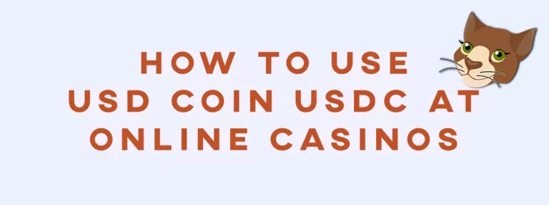 How to Use USD coin USDC